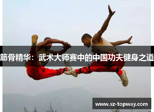 筋骨精华：武术大师赛中的中国功夫健身之道